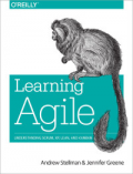 Learning Agile :Understanding Scrum, XP, Lean, and Kanban