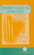 Intensive Sugrcane Production