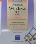 Running Windows 3.1