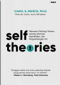 Self Theories