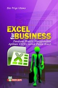 Excel for Business