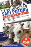 Penggemukan Sapi Potong Hari Perhari