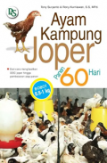 Ayam Kampung Joper Panen 60 Hari