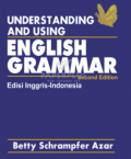 Understanding And Using English Grammer