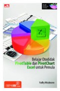 Belajar Otodidak PivotTable dan PivotChart Excel untuk Pemula