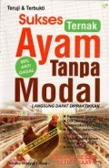 Sukses Ternak Ayam Tanpa Modal