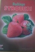 Budidaya Stroberi