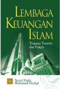 Lembaga Keuangan Islam Tinjauan Teoritis Dan Praktis